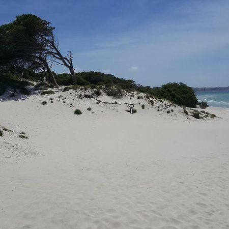 Appartamento Casaale Alghero Esterno foto